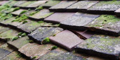 Rugeley roof repair costs